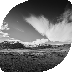 国际景观双年展