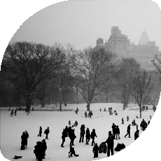 罗莎芭芭拉国际景观奖