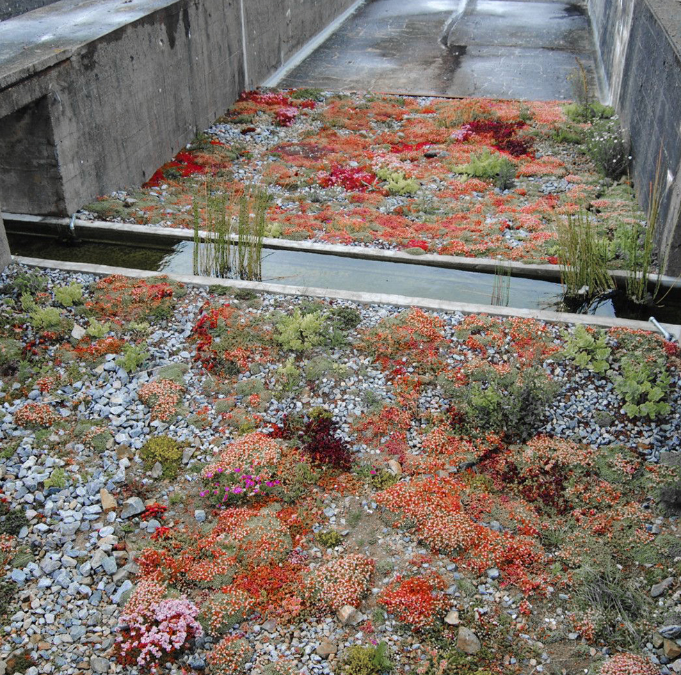 International Biennial of Landscape Architecture, Barcelona Biennal