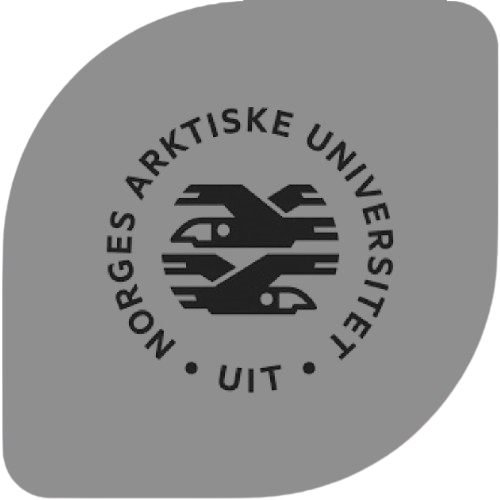 uit the artic university