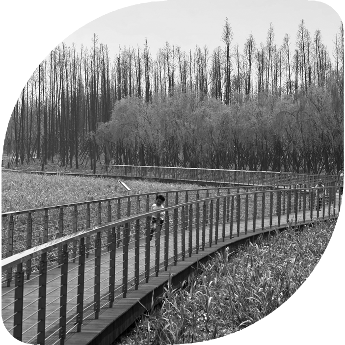 Vídeos de la 13ª edición 