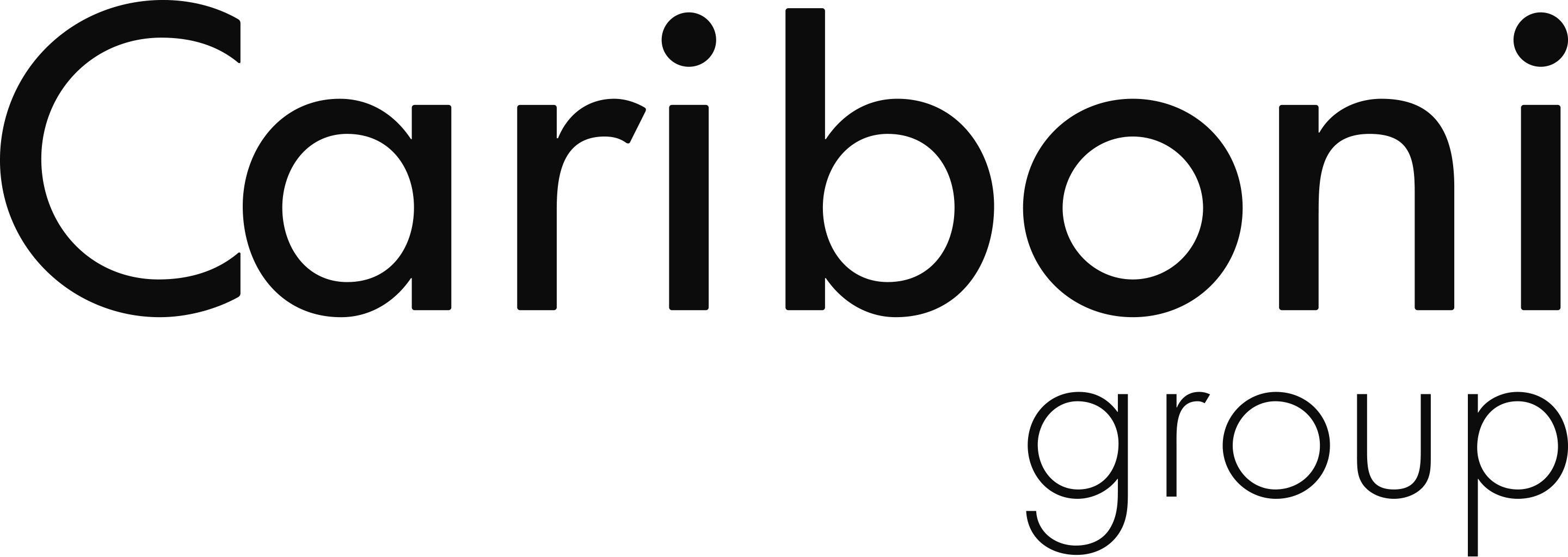 logo carboni group